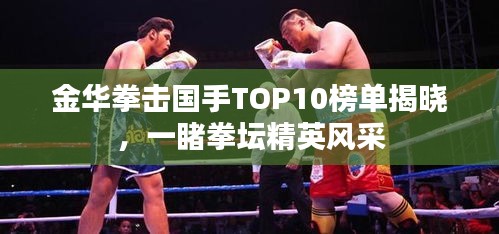 金华拳击国手TOP10榜单揭晓，一睹拳坛精英风采