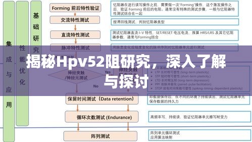 揭秘Hpv52阻研究，深入了解与探讨