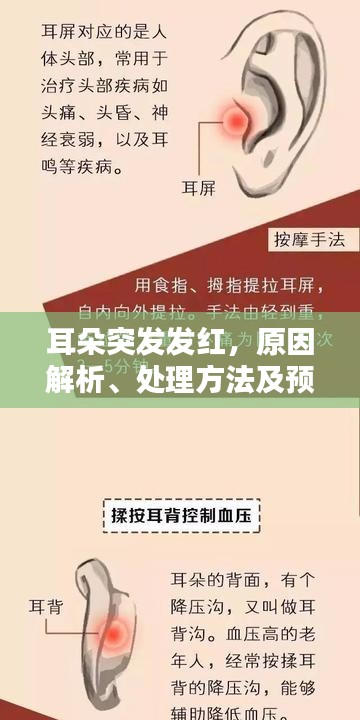 耳朵突发发红，原因解析、处理方法及预防措施