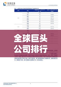 全球巨头公司排行榜及影响力深度解析