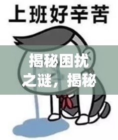 揭秘困扰之谜，揭秘为何蚊子在11楼挥之不去？