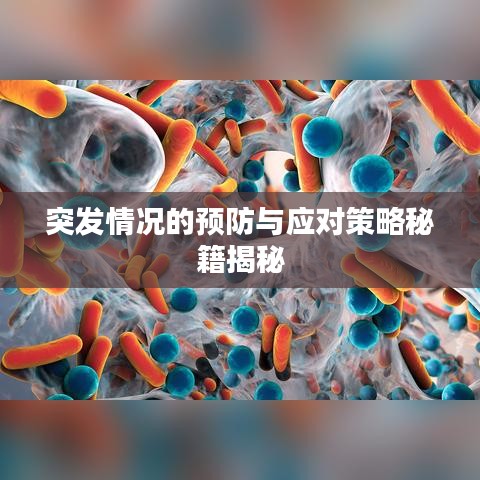 突发情况的预防与应对策略秘籍揭秘