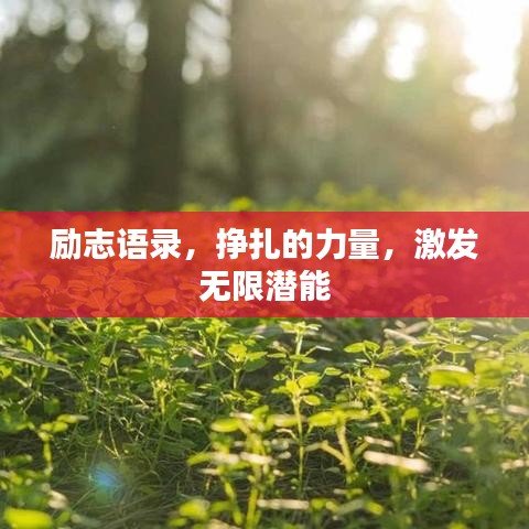 励志语录，挣扎的力量，激发无限潜能