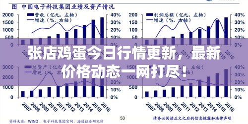 张店鸡蛋今日行情更新，最新价格动态一网打尽！