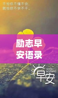 励志早安语录，温柔唤醒你的清晨时光