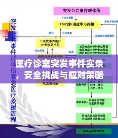 医疗诊室突发事件实录，安全挑战与应对策略揭秘！