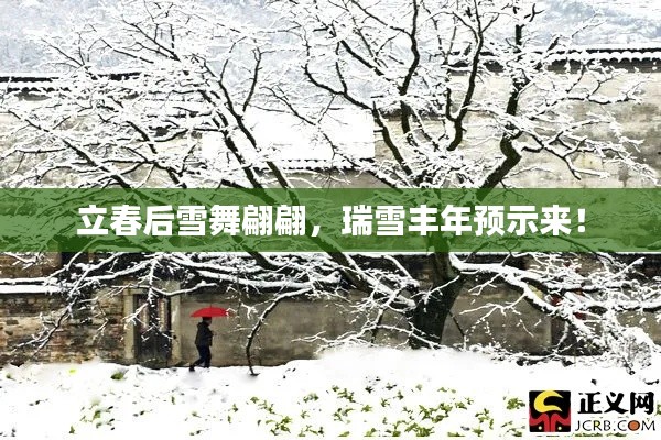 立春后雪舞翩翩，瑞雪丰年预示来！