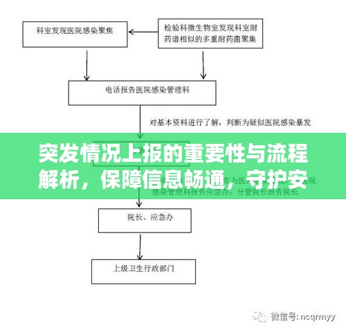 突发情况上报的重要性与流程解析，保障信息畅通，守护安全防线