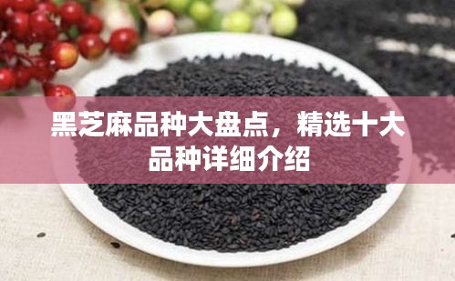 黑芝麻品种大盘点，精选十大品种详细介绍