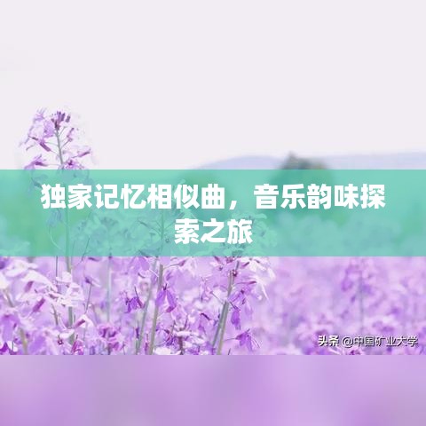 独家记忆相似曲，音乐韵味探索之旅