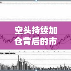 空头持续加仓背后的市场策略与风险洞察