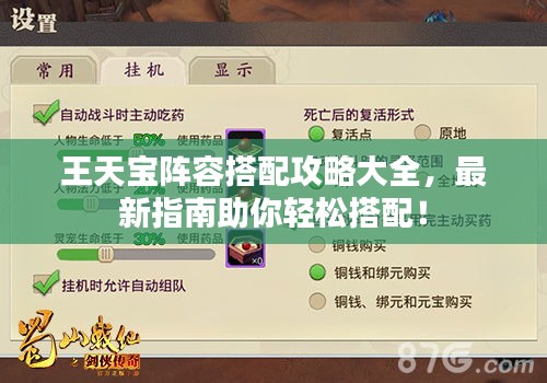 王天宝阵容搭配攻略大全，最新指南助你轻松搭配！