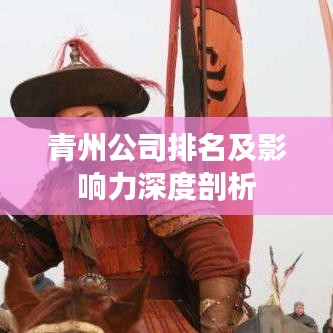 青州公司排名及影响力深度剖析