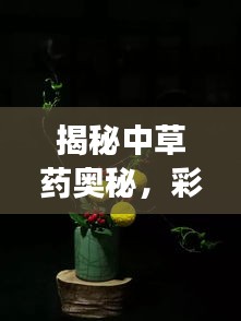 揭秘中草药奥秘，彩色图带你开启一场奇妙之旅