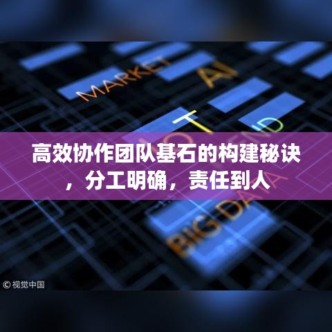 高效协作团队基石的构建秘诀，分工明确，责任到人