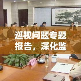 巡视问题专题报告，深化监督，推动全面整改