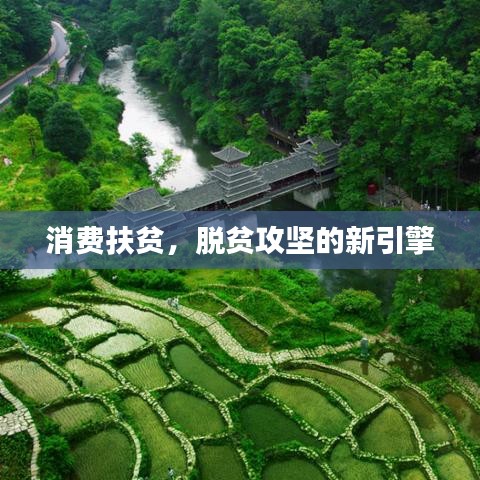 消费扶贫，脱贫攻坚的新引擎