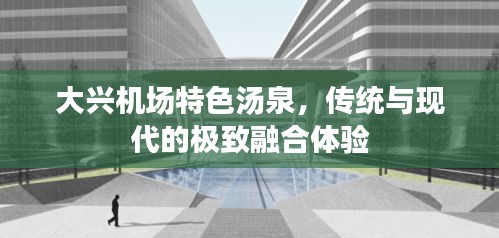 大兴机场特色汤泉，传统与现代的极致融合体验