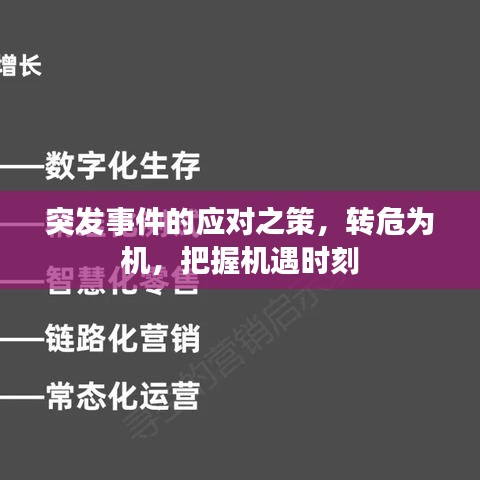 突发事件的应对之策，转危为机，把握机遇时刻