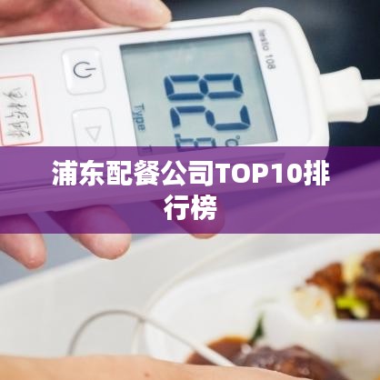 浦东配餐公司TOP10排行榜