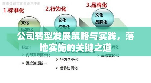 公司转型发展策略与实践，落地实施的关键之道