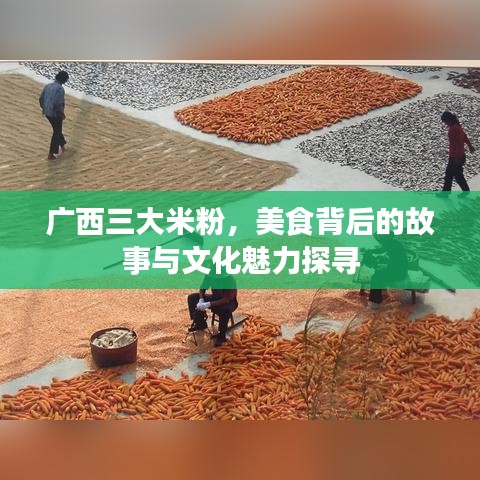 广西三大米粉，美食背后的故事与文化魅力探寻