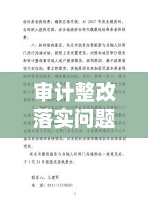 审计整改落实问题的深度探究与策略应对