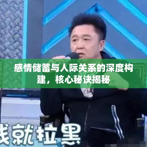 感情储蓄与人际关系的深度构建，核心秘诀揭秘