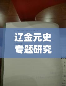 辽金元史专题研究，历史沿革与多元文化的深度交融探索