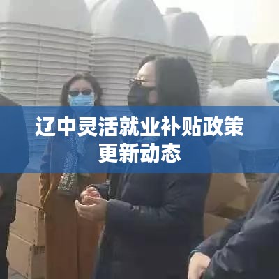 辽中灵活就业补贴政策更新动态