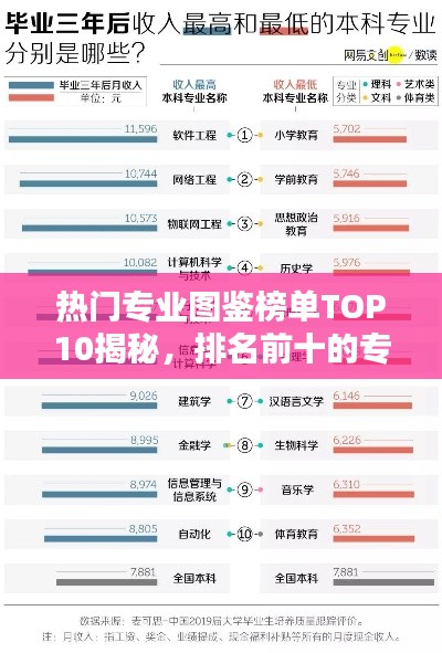 热门专业图鉴榜单TOP10揭秘，排名前十的专业大盘点