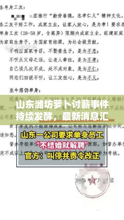 山东潍坊萝卜讨薪事件持续发酵，最新消息汇总关注中