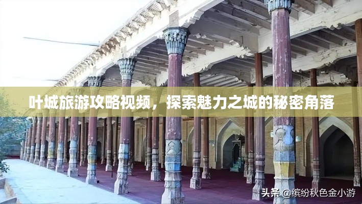 叶城旅游攻略视频，探索魅力之城的秘密角落