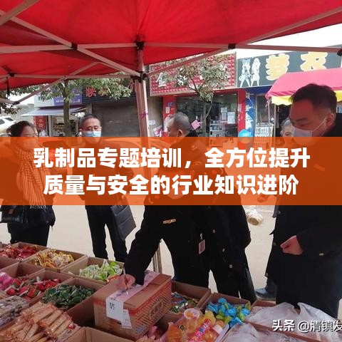 乳制品专题培训，全方位提升质量与安全的行业知识进阶