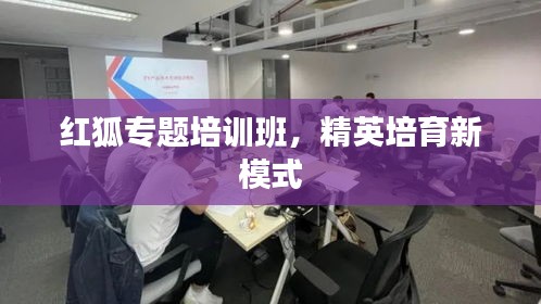 红狐专题培训班，精英培育新模式