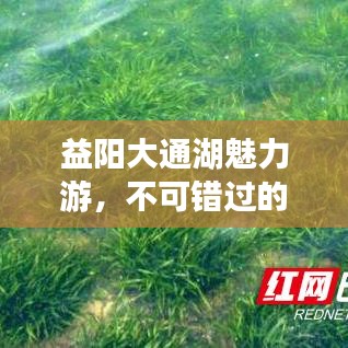 益阳大通湖魅力游，不可错过的旅游攻略！