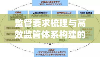 监管要求梳理与高效监管体系构建的关键步骤解析