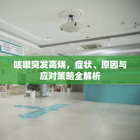 咳嗽突发高烧，症状、原因与应对策略全解析