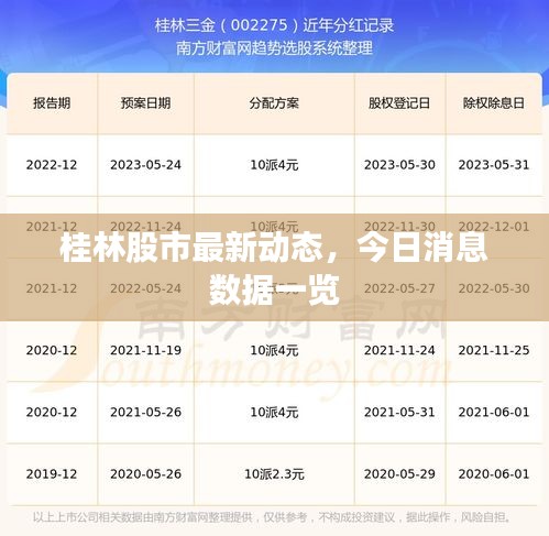 桂林股市最新动态，今日消息数据一览