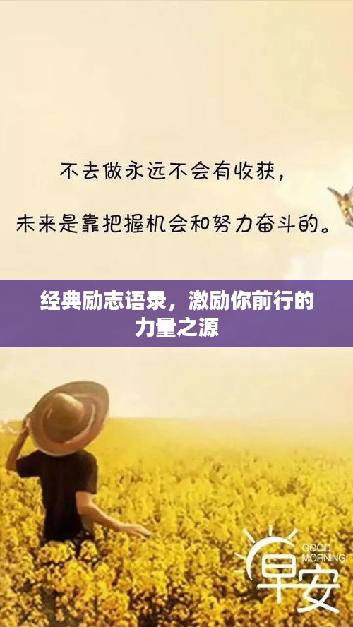 经典励志语录，激励你前行的力量之源