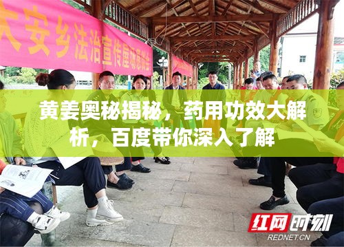黄姜奥秘揭秘，药用功效大解析，百度带你深入了解