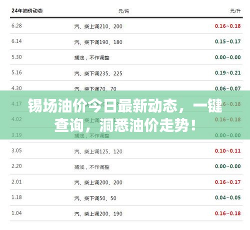 锡场油价今日最新动态，一键查询，洞悉油价走势！