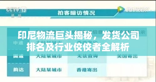 印尼物流巨头揭秘，发货公司排名及行业佼佼者全解析