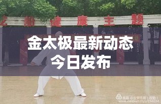 金太极最新动态今日发布